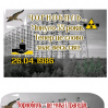 Альбом: Флешмоб «Голоси Чорнобиля».