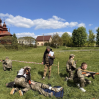 Альбом: 